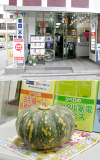 上：有田商店。下：店頭に飾られた松戸白宇宙かぼちゃの子孫